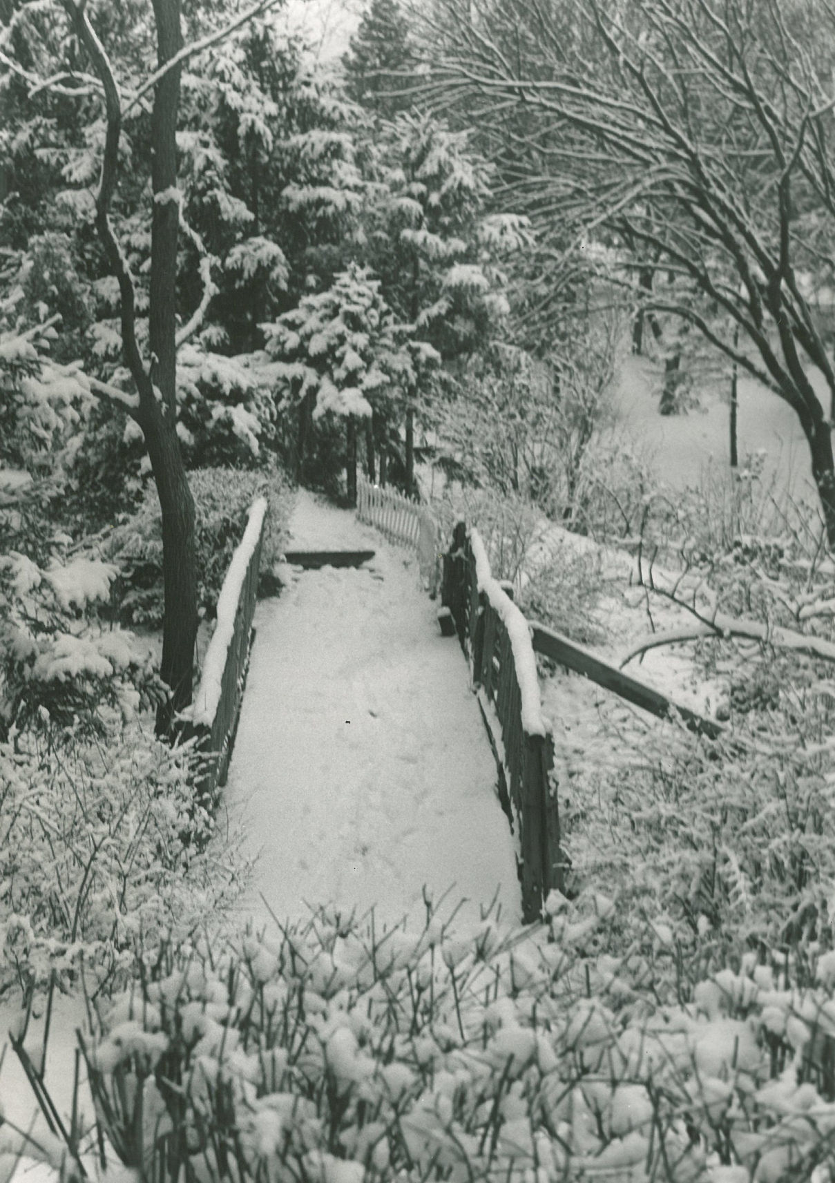 1958